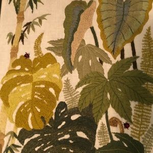 Jungalow House Plant